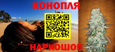 стафф Будённовск