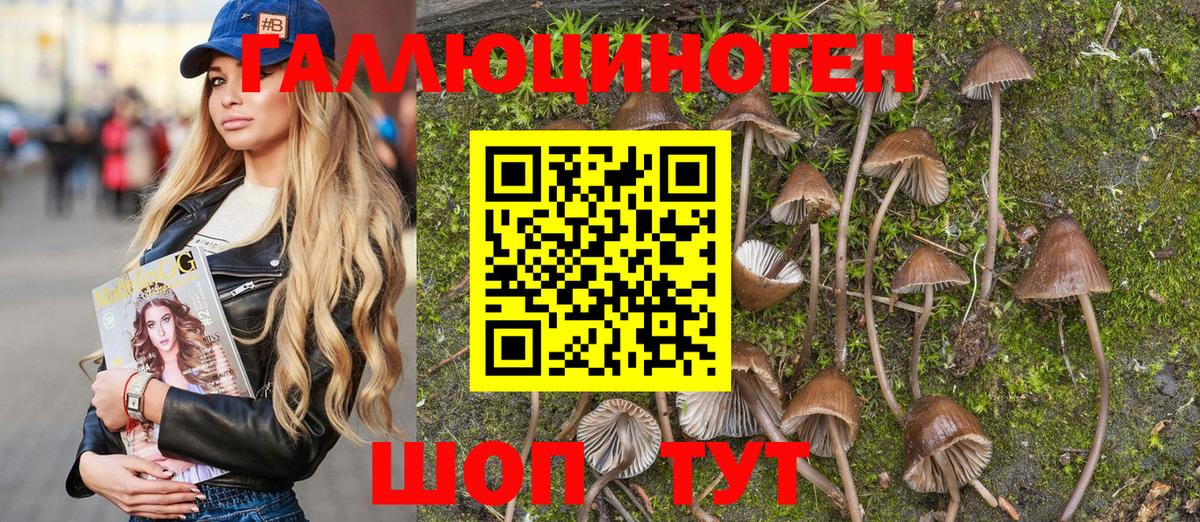 Галлюциногенные грибы мухоморы  Вход с VPN  Кстово 