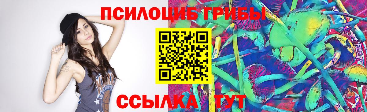 Галлюциногенные грибы Magic Shrooms Кстово
